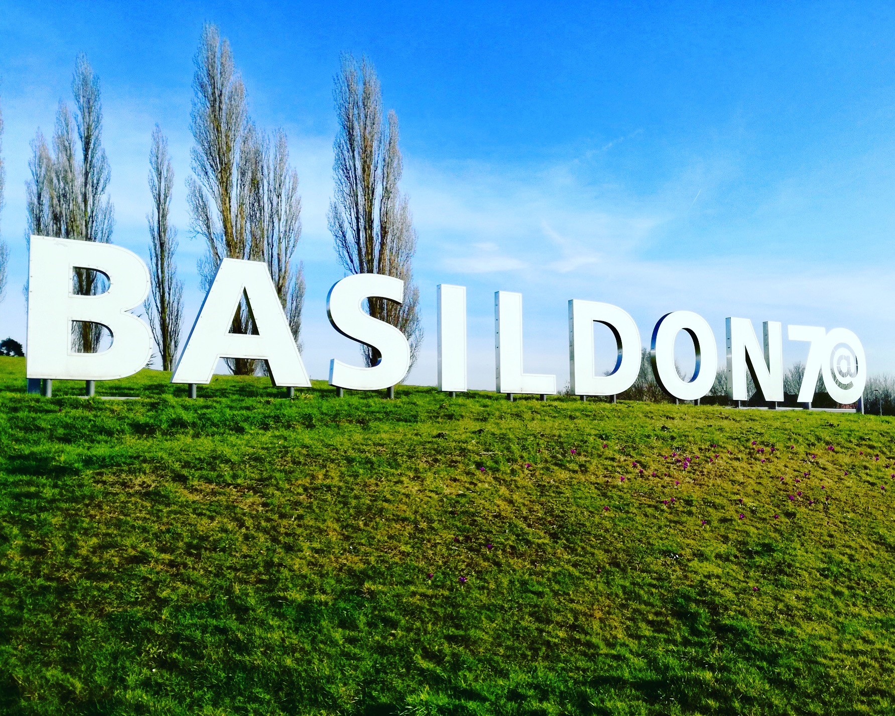 Image for Celebrating business for the 70th anniversary of Basildon New Town